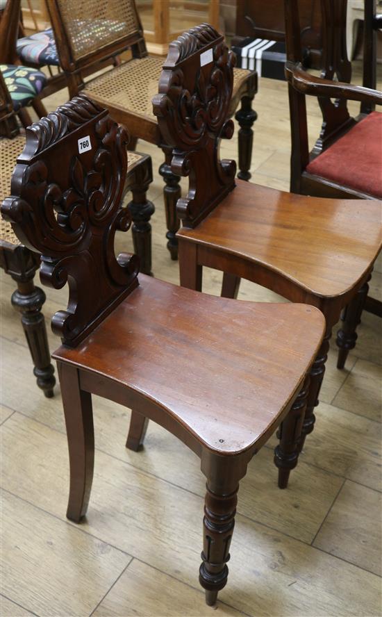 A pair of William IV carved mahogany hall chairs